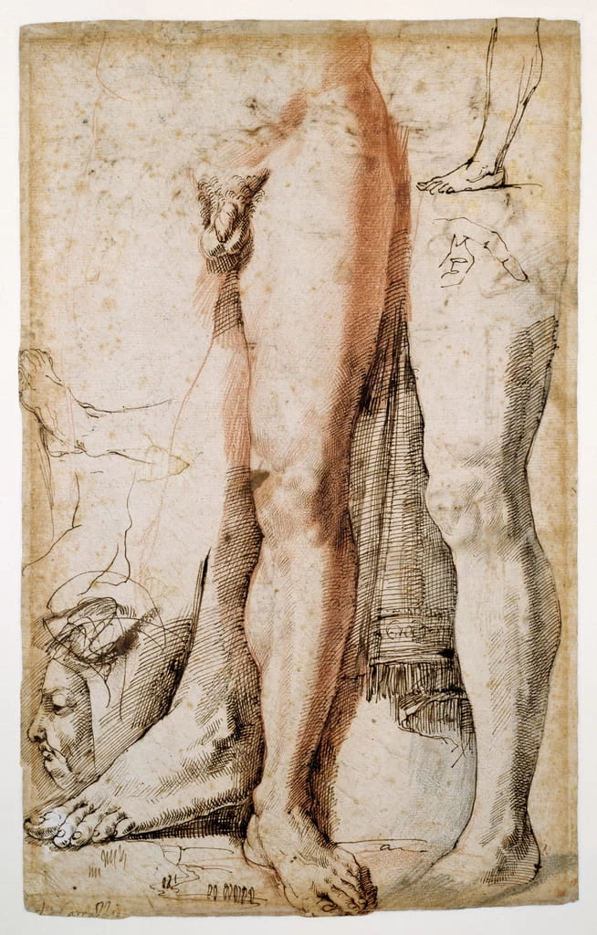 Studi di gamba sinistra - The Devonshire Collections, Chatsworth